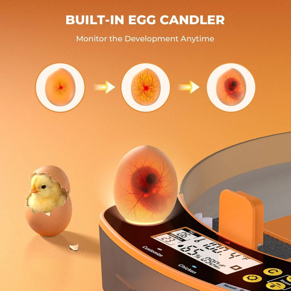 Clawtastic 24-Egg Smart Incubator